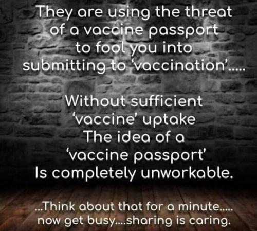 covid vaccine passport scam