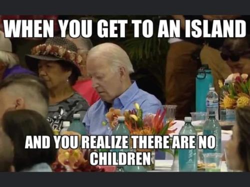 island_without_children