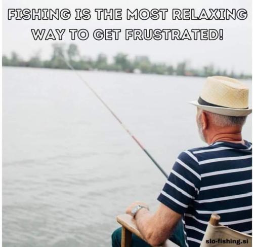 FB_IMG_1691257668343