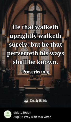 2023-08-051691215360099