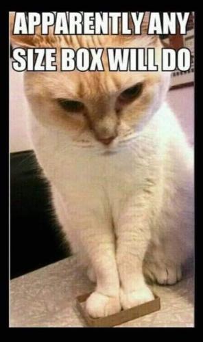FB_IMG_1691256172389
