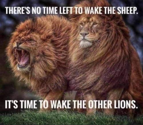 Screenshot_20230827_192010_Facebook