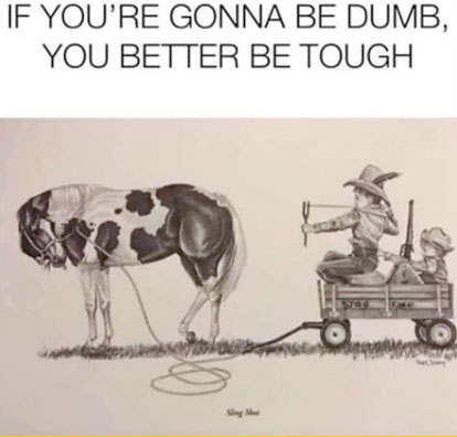 371076211_684538010386102_5743788326099700554_n