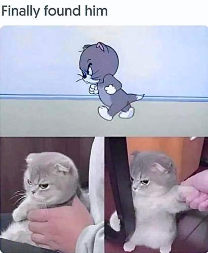 FB_IMG_1692329408485