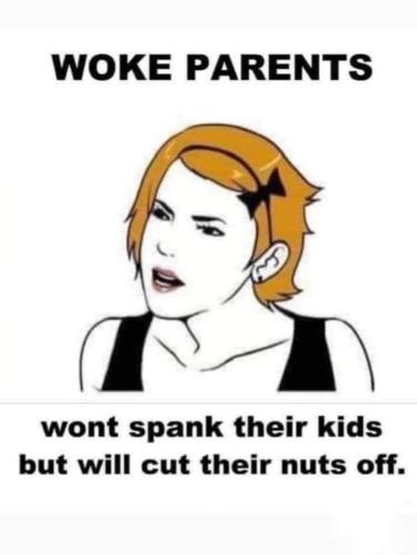woke parents