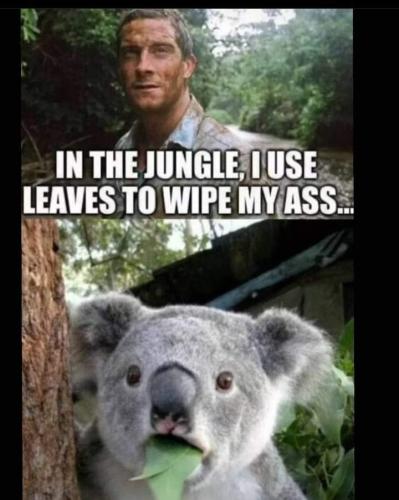 FB_IMG_1692717891731