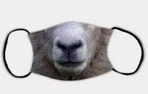 sheep mask