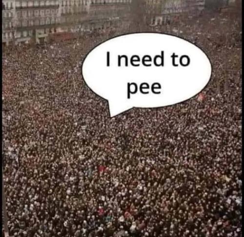 367682981_250381797834839_2618031582176432162_n