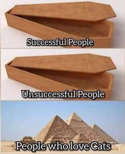 FB_IMG_1691957997338