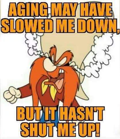 FB_IMG_1693426541900
