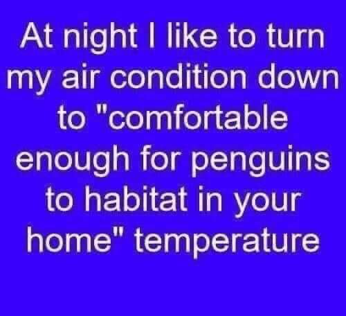 FB_IMG_1693224684605