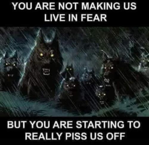 FB_IMG_1692551941720~2