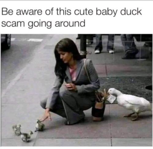 FB_IMG_1692467121189