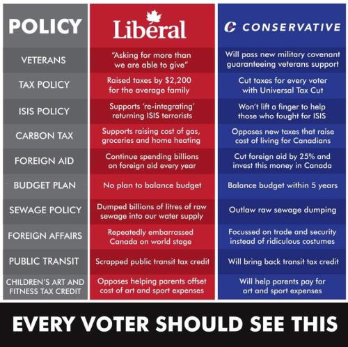 every voter