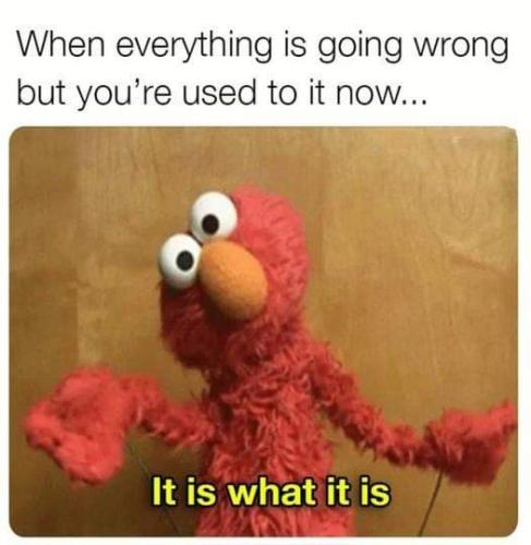 FB_IMG_1692352251971