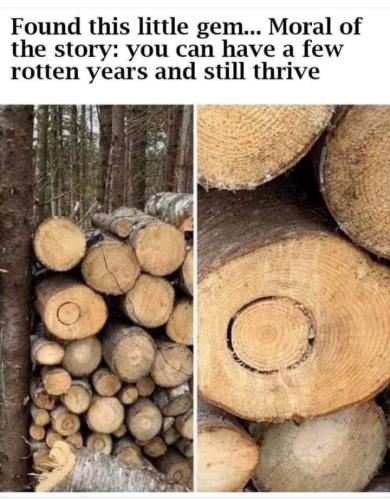 FB_IMG_1692606893784