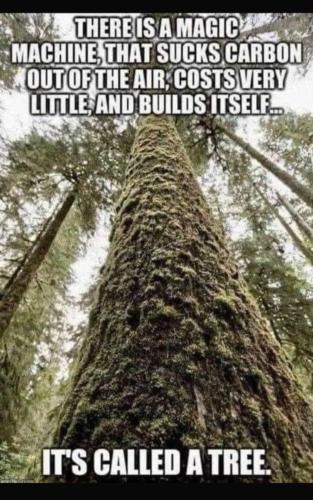 Screenshot_20230725_214127_Chrome