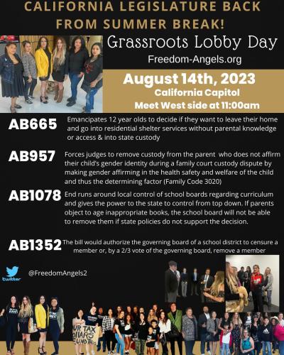 Sacramento, California – Aug 14, 2023 – Grassroots Lobby Day at the Capital