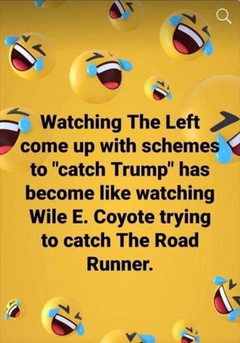 catch trump schemes