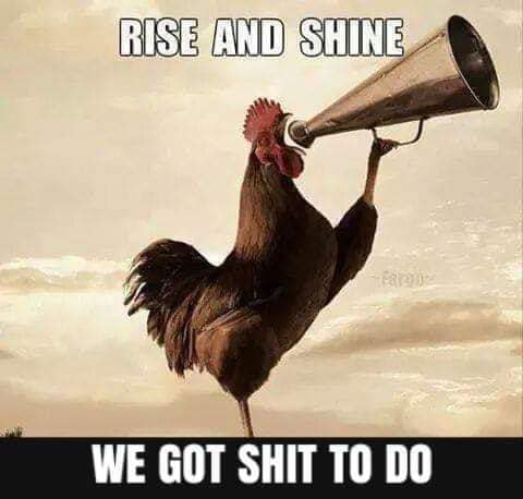 364129261_7075429789153938_4179166154972389733_n