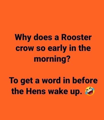 366932149_753462570019935_1512958752563416269_n