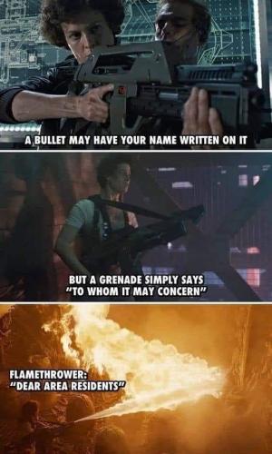 FB_IMG_1691494726535