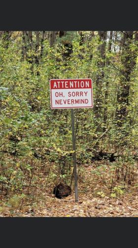 366700493_3576933819207859_7423513773317994399_n