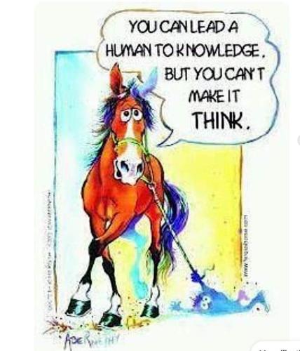 FB_IMG_1691721622183