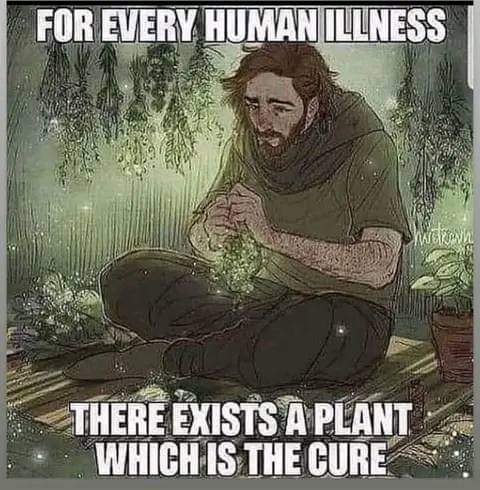 FB_IMG_1691257744499