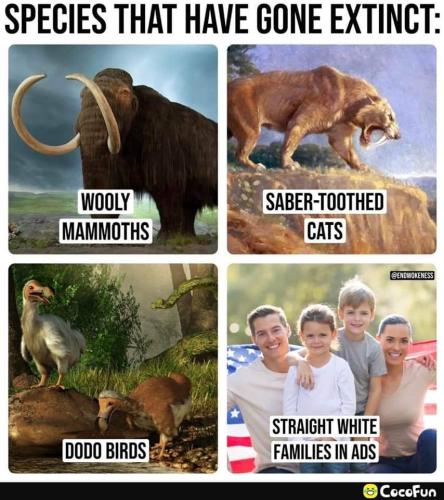 gone extinct