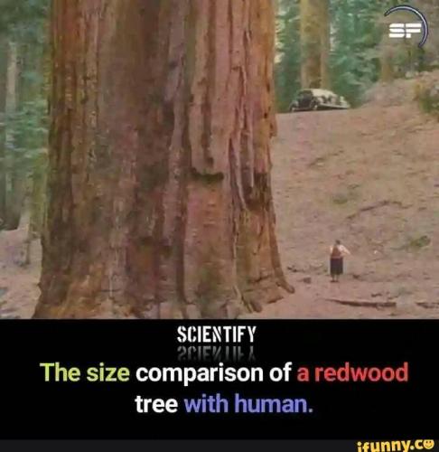 a678a7ab-b141-4372-99cc-c0eb5d969603