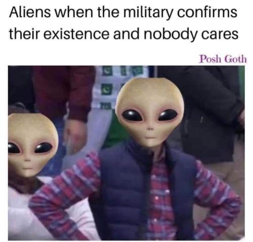 FB_IMG_1691036550761