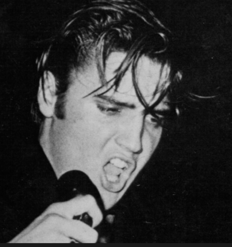 Screenshot_20230712-142834~2