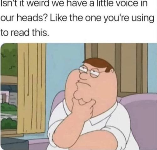 voice in your head