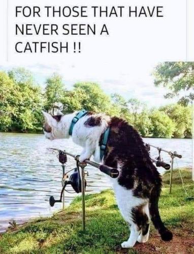 FB_IMG_1692606907536