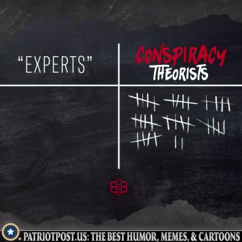 experts