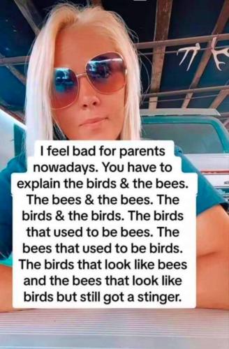 09577ab7-928e-4261-90b8-ce8164fddb9b