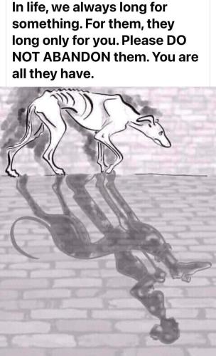 FB_IMG_1693284602241
