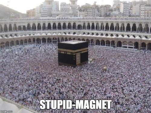 FB_IMG_1691949784953