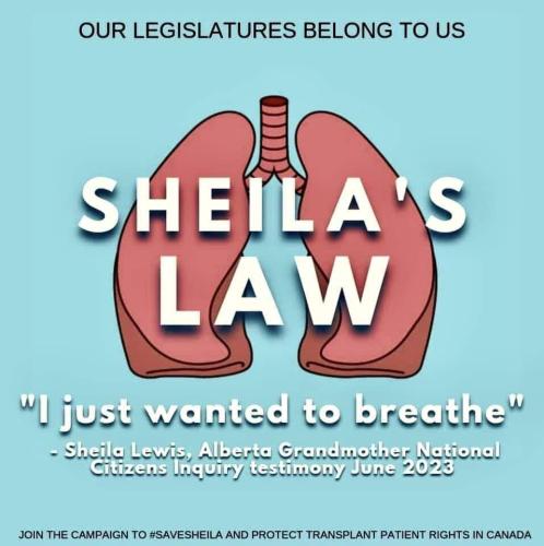 sheilas law
