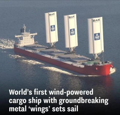 new sail boat