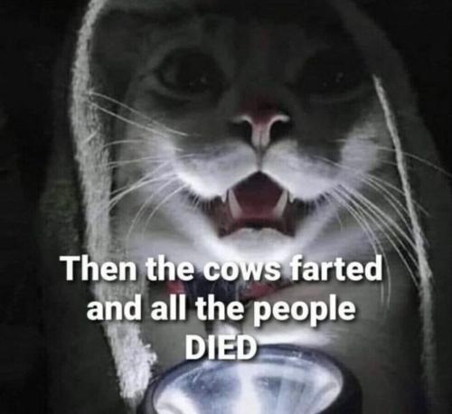 de9e591b-915e-4736-99d0-d9513f10ffeb