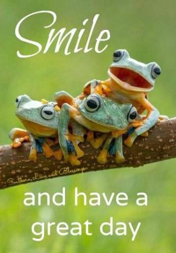 FB_IMG_1692128896611