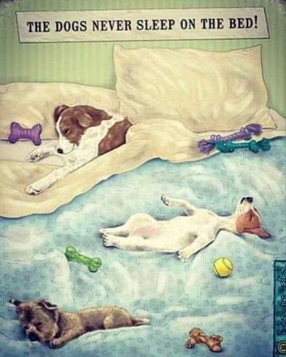 FB_IMG_1691720756645