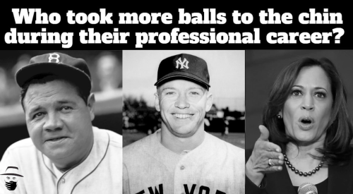 image_2023-08-08_115918955