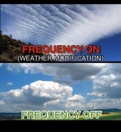 FB_IMG_1692125181021