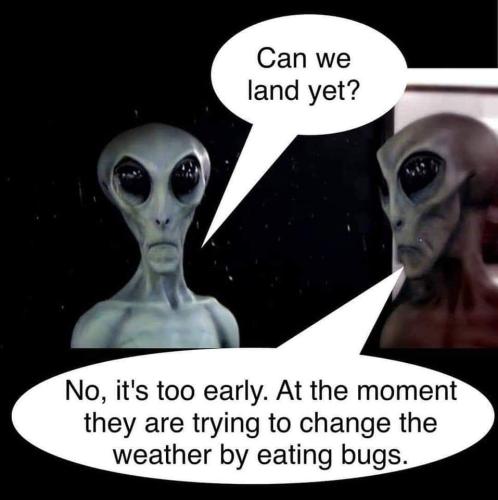 FB_IMG_1691845390420