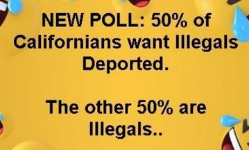 new poll