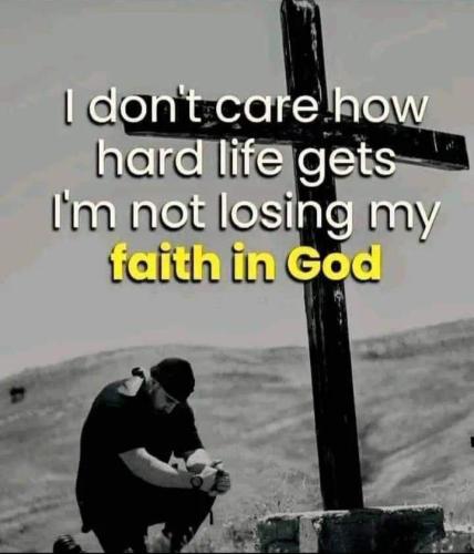 photo_2023-08-15_15-27-54