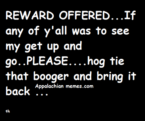 20476495_1915929491993346_5440775040702627206_n